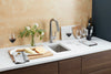 Morgan Tap and Basin Bar Sink with Wine and Cheese